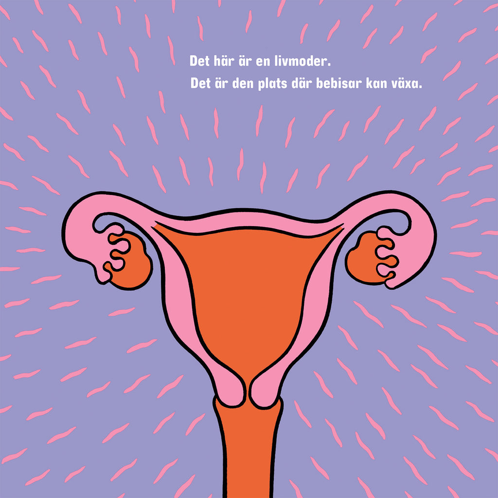 En illustrerad livmoder i Hur görs bebisar? - Bilderbok 3-6 år - OLIKA förlag - Författare: Cory Silverberg Illustratör: Fiona Smyth