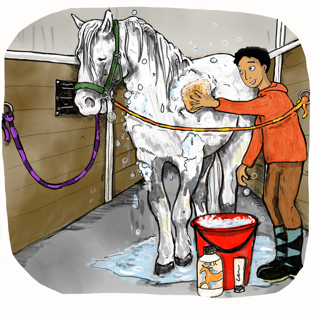 Illustration av en person som tvättar en häst i Över hindret, Goliat! - Kapitelbok 6-9 år - OLIKA förlag - Författare: Jenny Granberg Ahlmark - Illustratör: Clara Lindegren