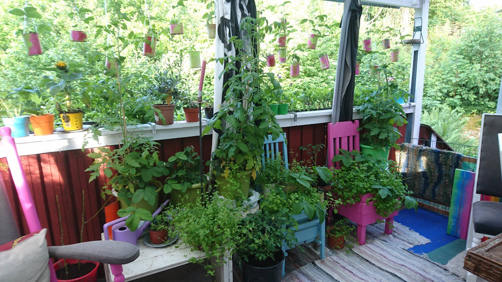Ett färgfoto på ett uterum fyllt av växter och färgglada möbler