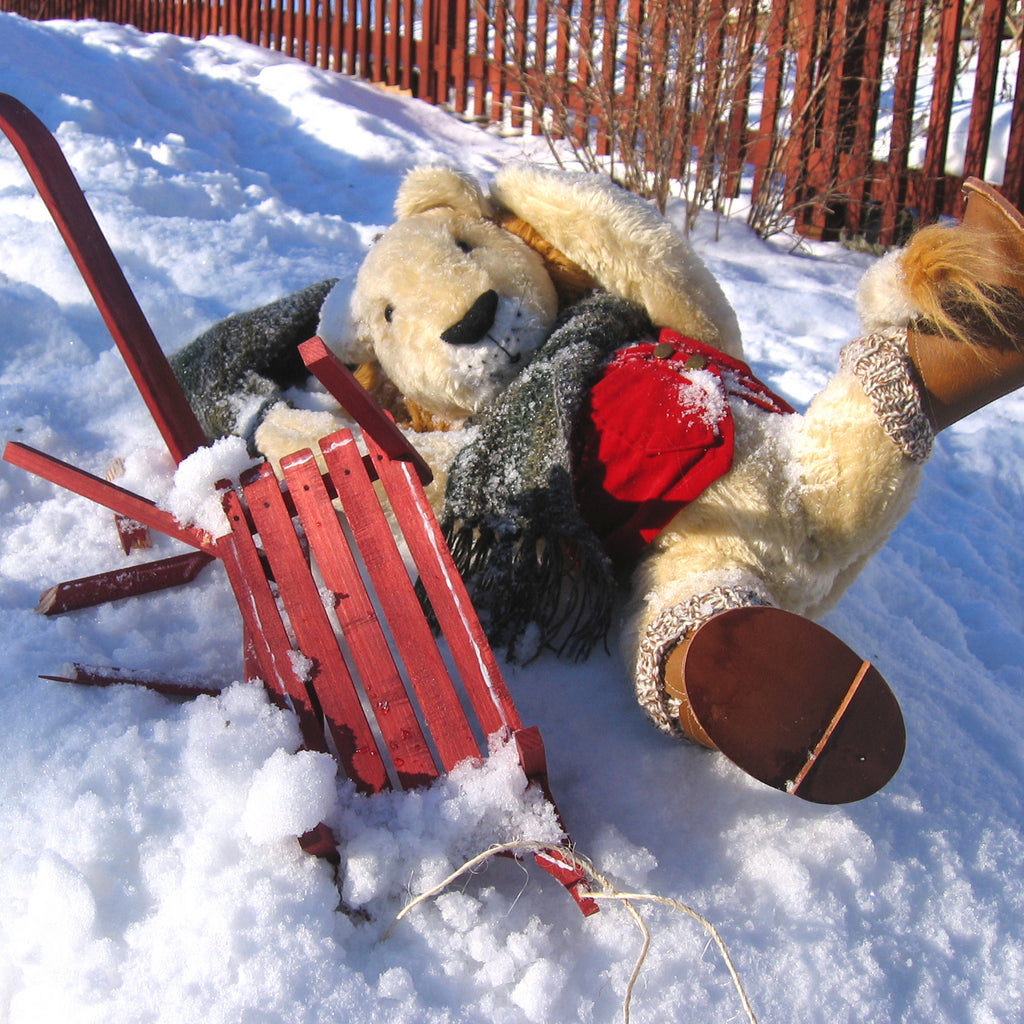 Ett lejon har ramlat av sin kälke i snön