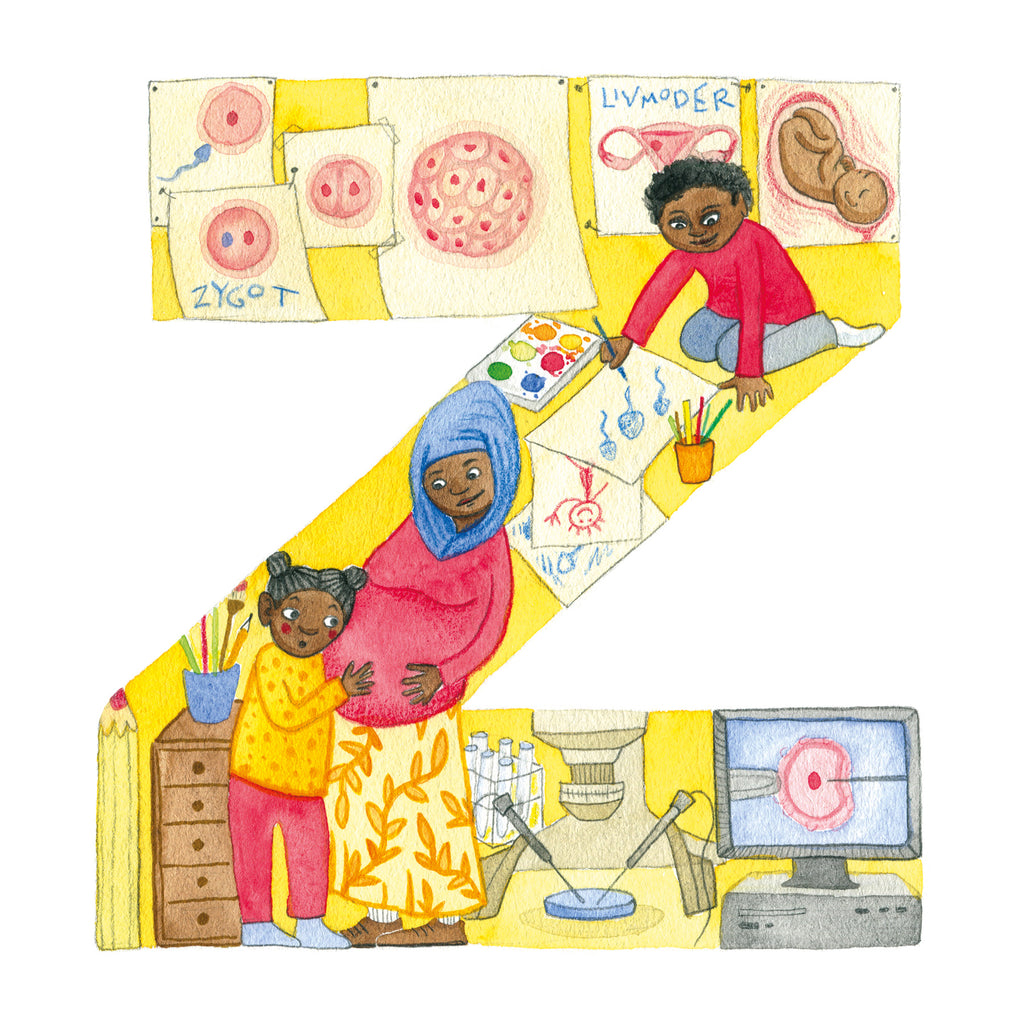 Illustration av bokstaven Z för Zygot i boken Kroppens ABC - Bilderbok 3-6 år - OLIKA förlag - Författare: Lina Boozon Ekberg, Eva Emmelin och Linda Madsen - Illustratör: Alaya Vindelman