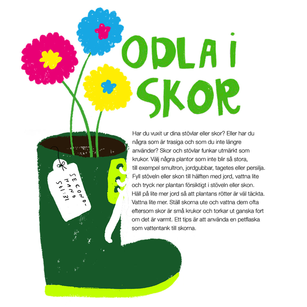 Illustration om att odla i skor i boken Växter älskar bajs - Bilderbok 3-6 år - OLIKA förlag - Författare: Kristina Henkel - Illustratör: Linda Blåfors Carlsson