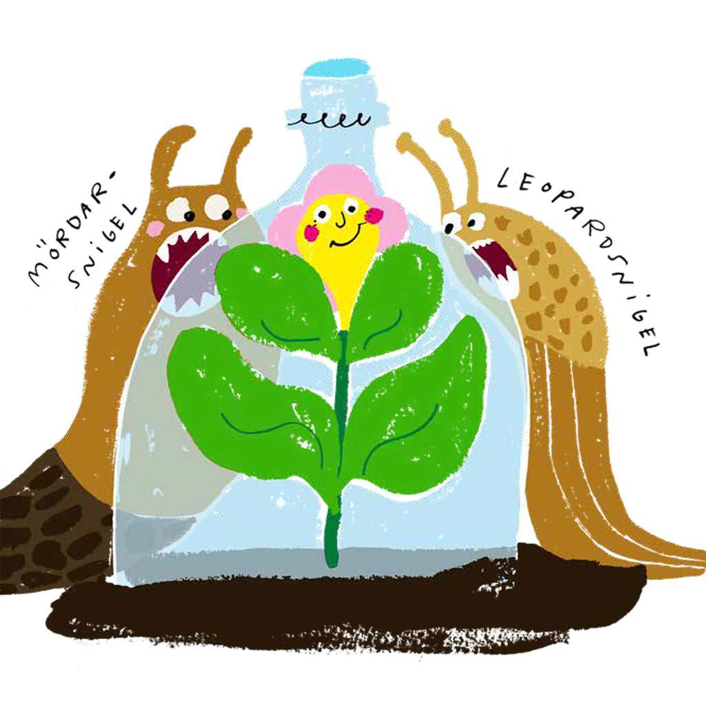 Illustration av två sniglar och en blomma i boken Växter älskar bajs - Bilderbok 3-6 år - OLIKA förlag - Författare: Kristina Henkel - Illustratör: Linda Blåfors Carlsson
